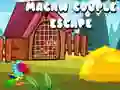 Игра Побег пары Ара онлайн Игра Побег пары Ара онлайн