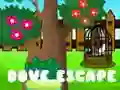 Игра Побег голубя онлайн Игра Побег голубя онлайн