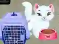 Игра Малышка Тейлор: Уход за домашними животными онлайн Игра Малышка Тейлор: Уход за домашними животными онлайн