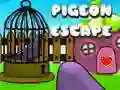 Игра Побег голубя онлайн