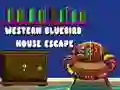 Игра Западная птица Побег из дома онлайн