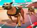 Игра Сумасшедшая собачья гонка онлайн Игра Сумасшедшая собачья гонка онлайн
