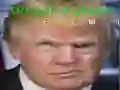 Игра Трамп Смешное лицо онлайн Игра Трамп Смешное лицо онлайн