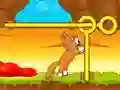 Игра КотоСтрофа онлайн Игра КотоСтрофа онлайн