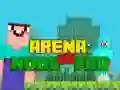 Игра Нуб против Профи: Арена онлайн Игра Нуб против Профи: Арена онлайн