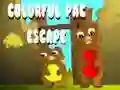 Игра Красочный побег Пака онлайн