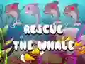 Игра Спасите кита онлайн Игра Спасите кита онлайн