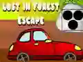Игра Затерянный в лесу онлайн Игра Затерянный в лесу онлайн