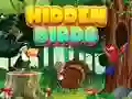 Игра Скрытые птицы онлайн Игра Скрытые птицы онлайн
