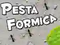 Игра Разбить муравья онлайн Игра Разбить муравья онлайн