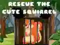 Игра Спасите милую белку онлайн Игра Спасите милую белку онлайн