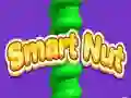 Игра Умная гайка онлайн Игра Умная гайка онлайн
