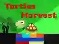 Игра Урожай черепах онлайн Игра Урожай черепах онлайн