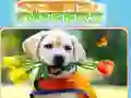 Игра Найди отличия онлайн Игра Найди отличия онлайн