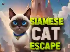 Игра Сиамский кот побег онлайн