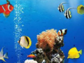 Игра Море подводное различие онлайн