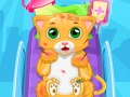Игра Маленький доктор кошки онлайн