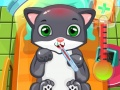 Игра Доктор кошки онлайн