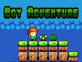 Игра Приключение мальчика онлайн