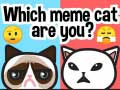 Игра Какой ты мем-кот? онлайн