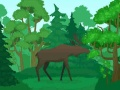 Игра Дикие животные: Раскраска онлайн