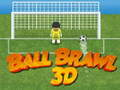 Игра Драка с мячом 3D онлайн