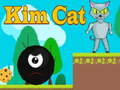 Игра Кот Ким онлайн