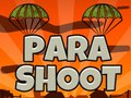 Игра Пара Выстрел онлайн