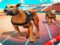 Игра Сумасшедшая собачья гонка онлайн