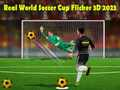 Игра Реальный чемпионат мира по футболу 3D 2023 онлайн